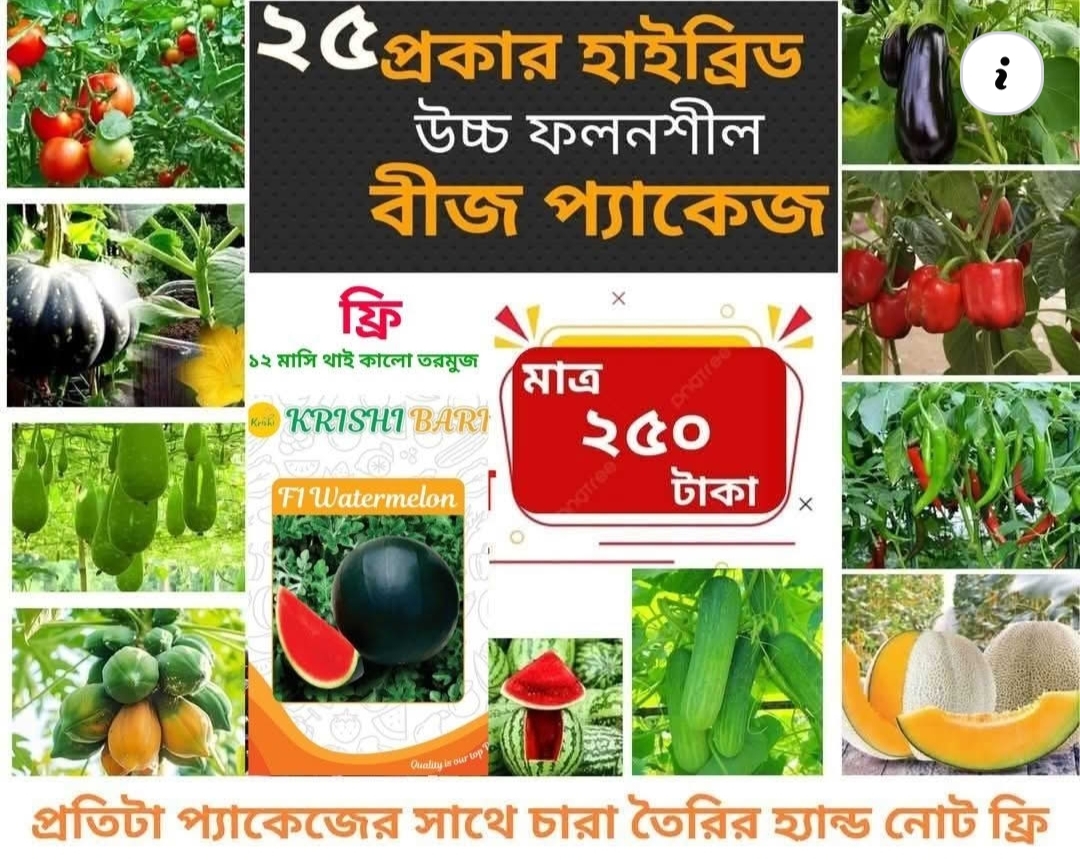 ২৫ ধরনের উন্নতমানের  সবজির বীজ