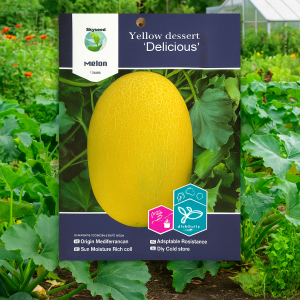 সাম্মাম ফলের বীজ