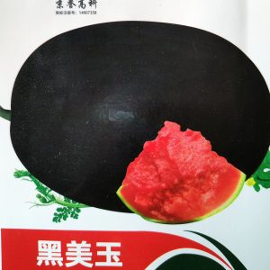 বারোমাসি কালো তরমুজ বীজ