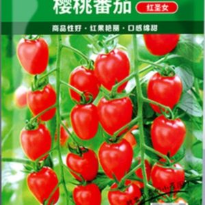 লাল চেরি টমেটো বীজ